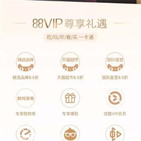 vip88会员有哪些优惠